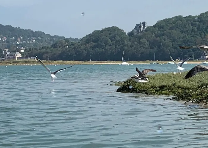 600m De La Calme Location Possible A Partir De 3 Nuitees, Pouvant Accueillir 6-8 Pers Activites Nautiques Randonnee Velo Peche Golf Casinos Dives-sur-Mer